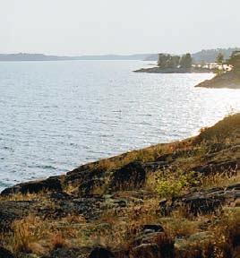 Den indirekta påverkan uppstår framförallt vid vatten- och brandskador som drabbar länsförsäkringsbolagens kunder.