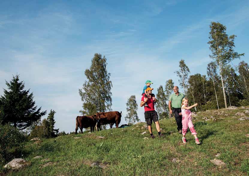 I detta avtal framgår även att Länsförsäkringar Gävleborg ska stå för 80 procent av de kreditförluster som eventuellt uppkommer på de lån som bolaget förmedlar till Länsförsäkringar Bank.