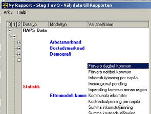 Rapport eftermodell kommun 39. Välj att skapa en rapport.