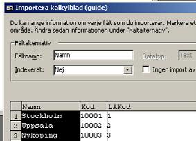 Möjlighet att ändra fältnamn 13. Det finns möjlighet att ändra fältnamnen (kolumnrubrikerna) i importguiden.
