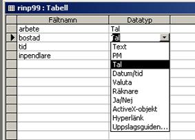 Ge filen ett namn på högst åtta tecken och välj plats där filen skall sparas. Här anges namnet: rinp99. Markera filformatet dbase (*.dbf). Klicka sedan på OK.