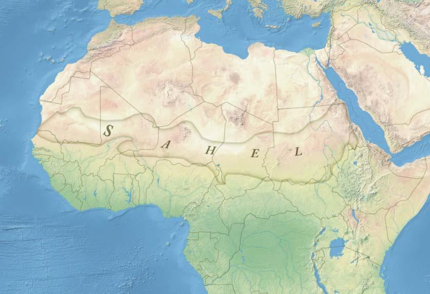 karakteristiskt för områdets geografiska läge - en övergång mellan öken och savann.