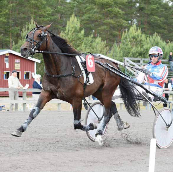 VAGGERYDS TRAVET Lördag