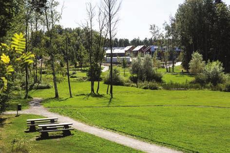 entréer som skapas mot natur Nuvarande elljusspår kommer helt eller delvis att dras om