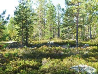 Stor hänsyn ska tas till Grodtjärns naturområde och kring bäckarna bör det finnas bårder