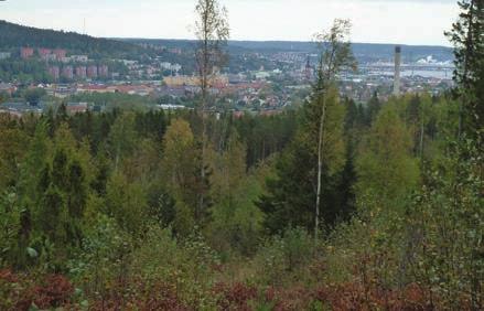 OMRÅDET