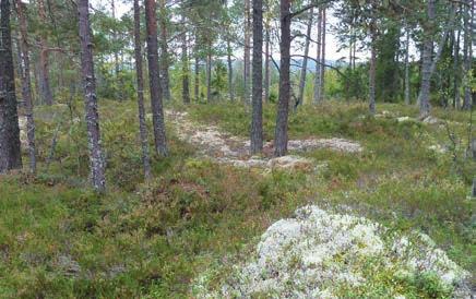 Så här