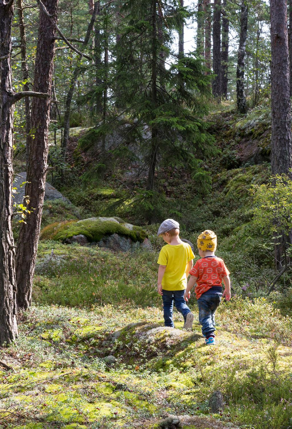 FOLKTINGETS VERKSAMHETSPLAN