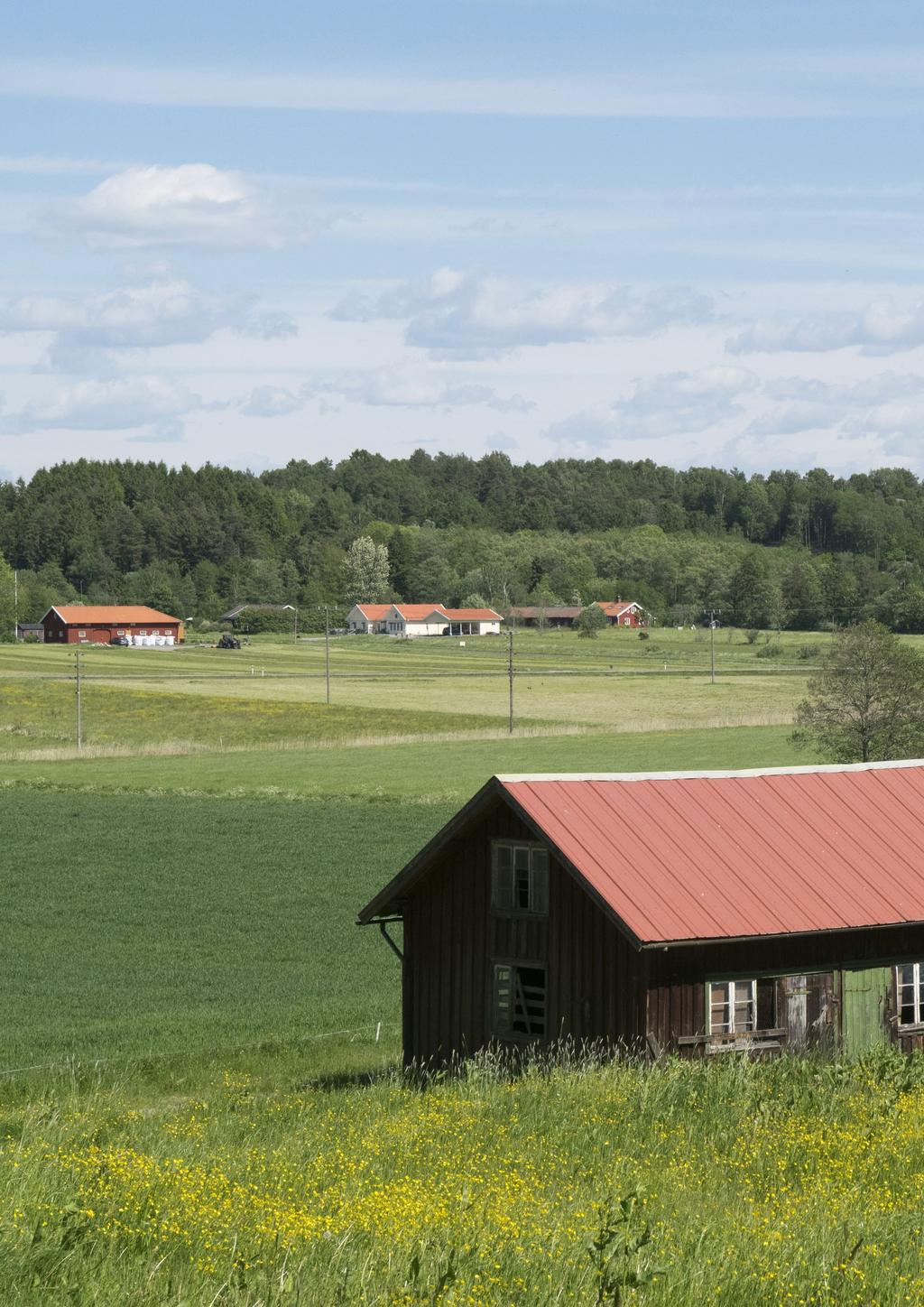 AR PÅ LANDSBYGDEN Skyltning förekommer även på landsbygden, dels i form av hänvisningsskyltar och dels som skyltning i anslutning till olika verksamheter.