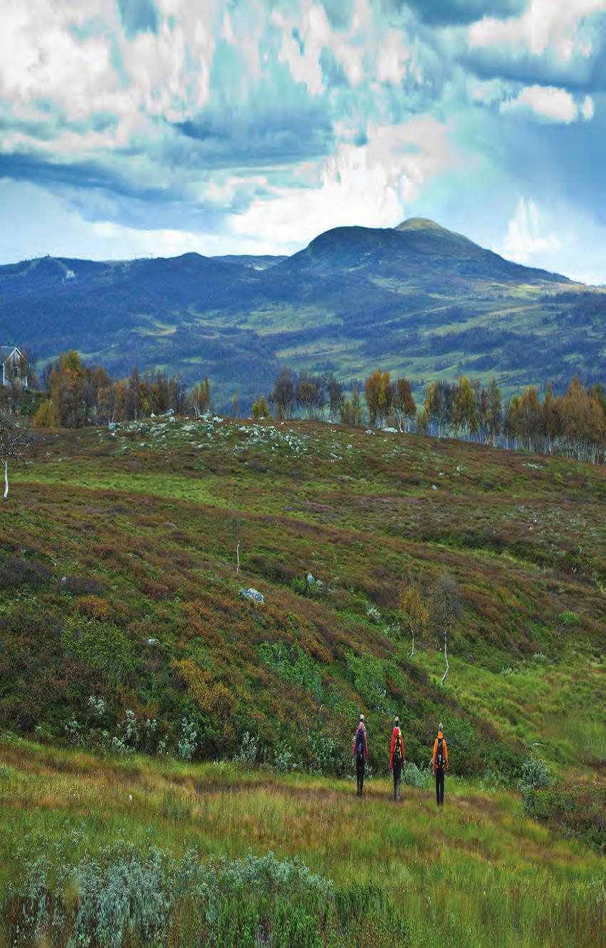 Veckoprogram Sommar 2017 Programmet gäller 1 juli 13 augusti. Fjällgårdsbanan går varje dag. Se tider och mer information: www.ramundberget.