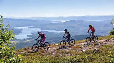 LAPIERRES CYKLAR. KOM IN OCH TESTA ÅRETS NYHETER!