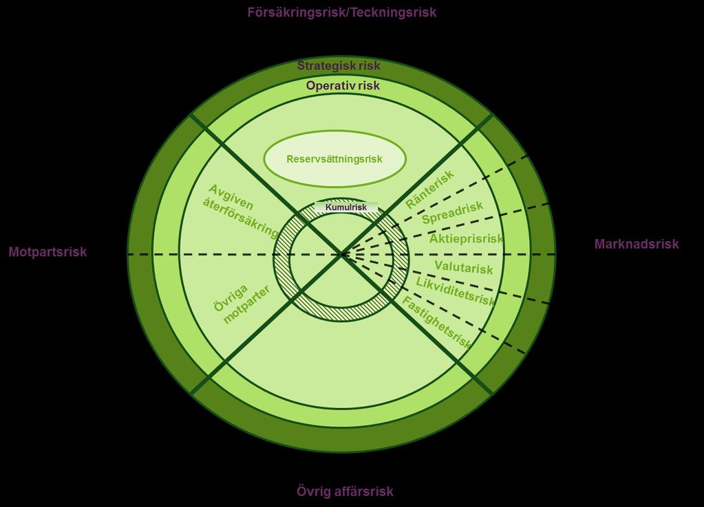 Information och underlag som ska ligga till grund för lämplighetsbedömningen inhämtas från personen i fråga.