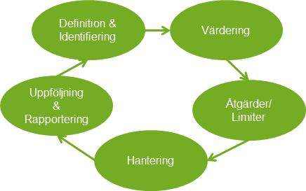 Riskhantering är en kontinuerlig process och tillämpas som ett stöd för att uppnå bolagets mål. Riskhanteringsstrategin ska vara förenlig med bolagets övergripande affärsstrategi.