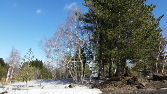 Vi rundade den magnifika vulkanen Etna som nu hade lugnat ner sig betydligt efter några dagar med utbrott och lavaflöden.