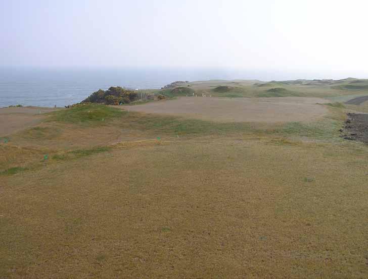 Vi finner inga bra bevis för långsam etablering av ren rödsvingel. Till höger ogräs av lokal ven. Foto: Agnar Kvalbein, Castle Course, St. Andrews, Mars 2006.