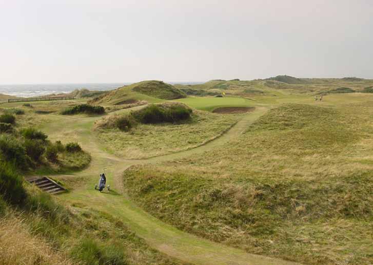 Royal Troon golf links. Foto: Håkon Wergeland, september 2003. Varför rödsvingel?