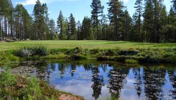 Den har god överlevnad på greener i Norges inland på 500 meter över havet och på banor exponerade för saltvattenstänk. Den är relativt salttolerant och rödsvingel med korta utlöpare (F.rubra ssp.