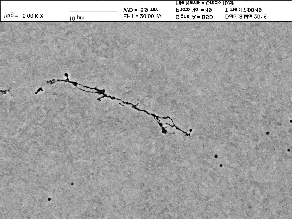 Note the visible cavities in front of the crack tip (the black dots) Figur 22 Större förstoring på sprickspetsen.