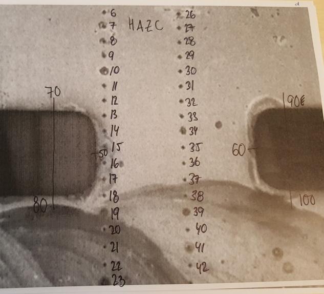 Figur 51 Linjer med numrerade töjningsmarkörer tvärs HAZ hos HAZ-provstav C och D Figure 51 Lines with numbered strain markers across the HAZ in HAZ specimens C