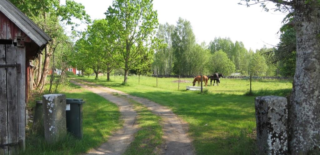 Vägen in till gården på bilden under, med betade marker och stenstolpar.