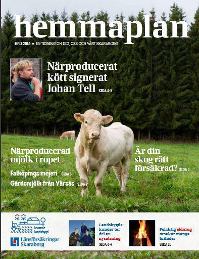 hemmaplan