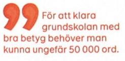 projektet presenterades med hjälp av ett bildspel