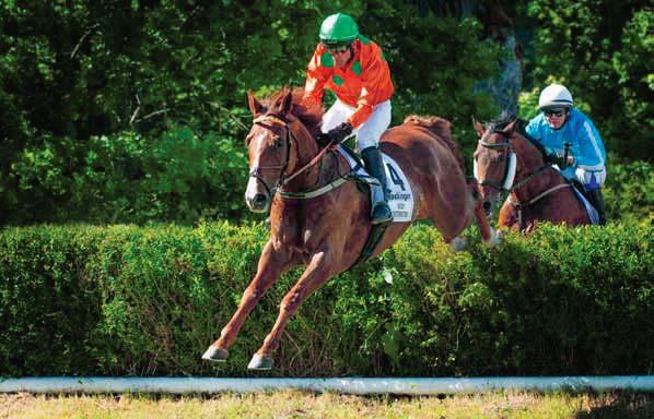 SVENSKT GRAND NATIONAL Serveringar, utställarområde och barnaktiviteter!