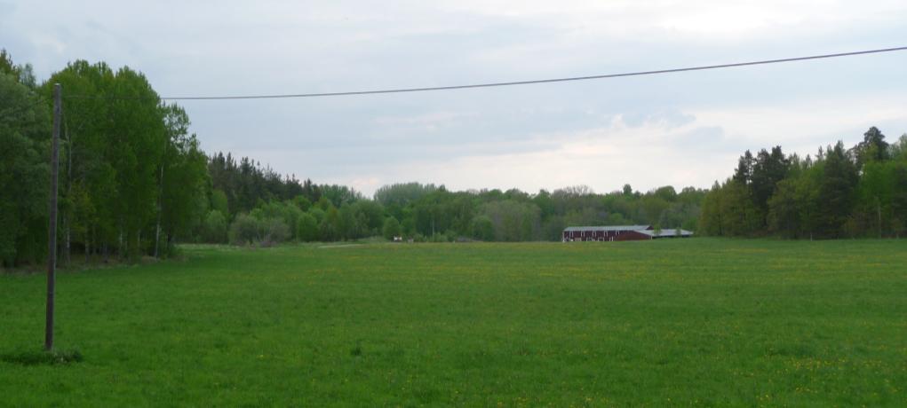 Detaljplan i Tinnerö eklandskap för del av SMEDSTAD 1:4 Natur Mark, vegetation och naturmiljö Marken inom planområdet är relativt plan med en vattendelare i öst-västlig riktning i den norra delen av