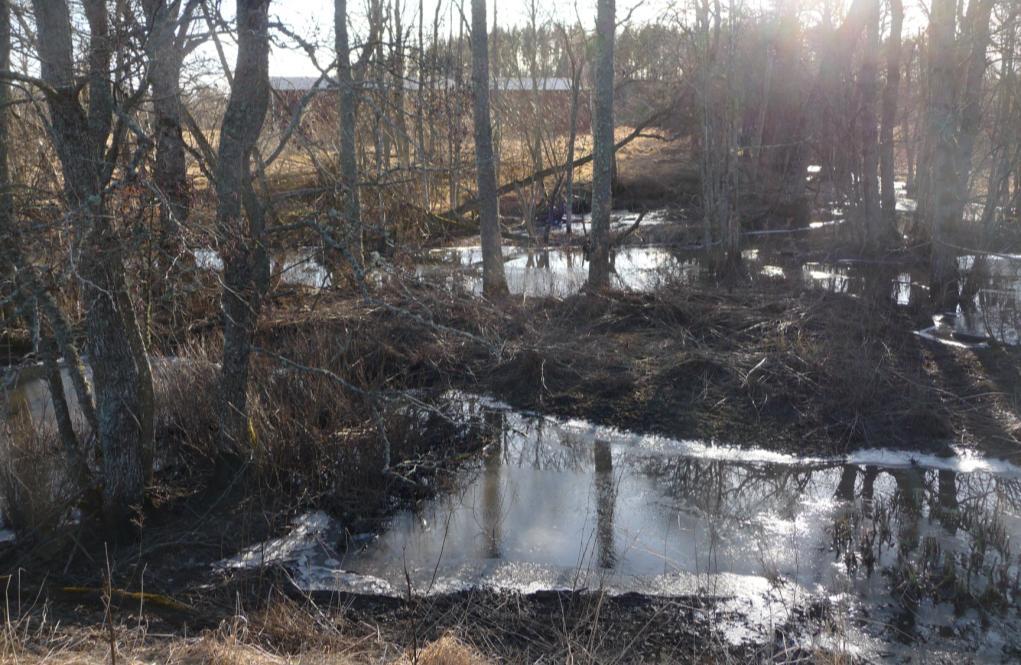 Detaljplan i Tinnerö eklandskap för del av SMEDSTAD 1:4 Smedstadsbäcken norr om planområdet är viktig för avledning av dagvatten från Jägarvallen, Lambohov, Universitetsområdet och Djurgården och