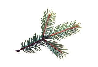 Församlingsblad för lane- ryrs församling december-januari 2013-2014 Musik i jul Adventskonsert söndag 1 december kl 18.