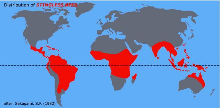 Jambo! I förra Svärmbladet började jag berätta om mitt möte med biodling i Tanzania. Arushas biodlarförenings koordinator A.Y. Kimishua var vår guide.