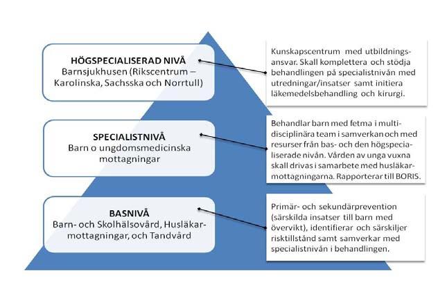 19 (38) Uppgifter för SLSO/Centrum för allmänmedicin CeFAM Tillhandahålla kompetens i det praktiska genomförandet av vårdprogramsdelen av handlingsprogrammet, framförallt när det gäller arbete med