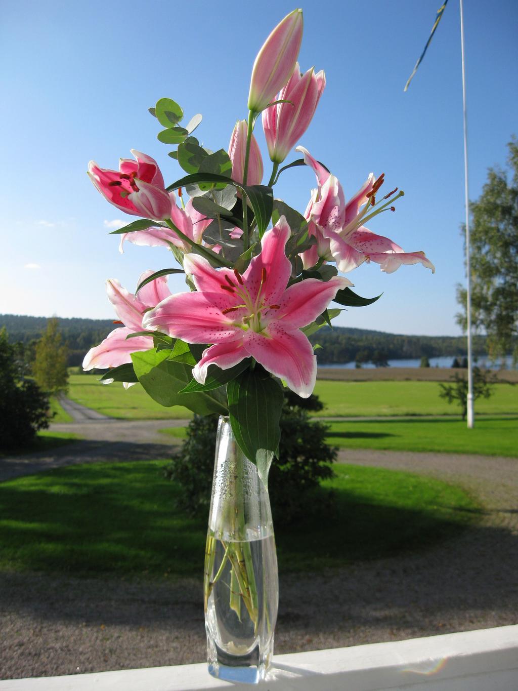 FÖRSAMLINGS- BLADET KALMAR ADVENTKYRKA APRIL OCH MAJ 2017 Se på liljorna,