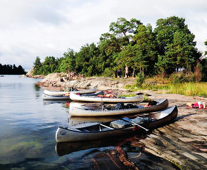 Bland alla möjligheter som man kan finna vill vi