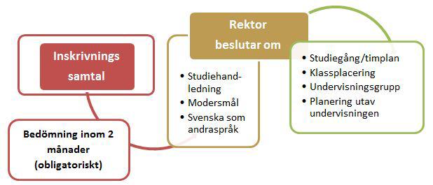 fördel om skolan i samband med mottagandet utser en fadder eller en mentor som har i uppgift att stödja den nya eleven, gärna någon som talar elevens modersmål.