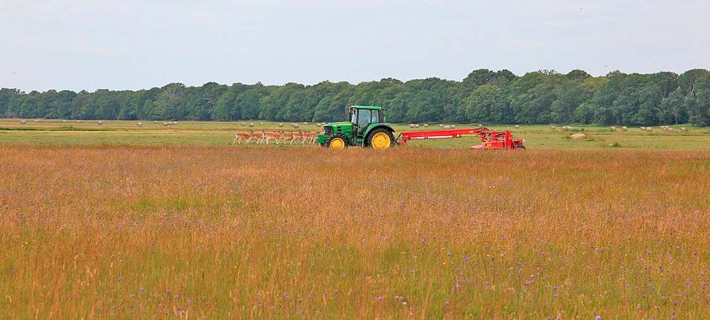 Tabell 19. Kostnader for naturtypsskötsel i skyddade områden fördelat på naturtyp (tkr).