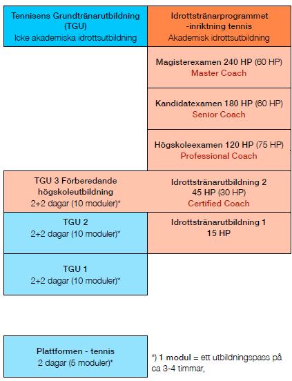 2017-03- 01 10 Tennisverksamheten Vi ska initiera och stödja klubbarna med att utveckla aktiviteter för alla kategorier, unga som gamla, kvinnor som män, svenskfödda och utlandsfödda.