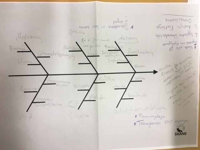 Fiskbensdiagrammet hjälpte oss att analysera i vilka situationer som oro/ångest kan uppstå samt tänkbara orsaker till varför.