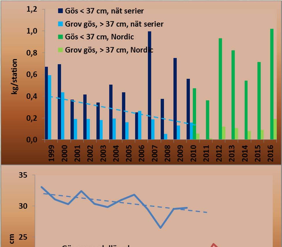 Indikatorer för nyckelarten gös Biomassan eller vikten hos gös totalt sett har inte minskat över tid i nät serierna.