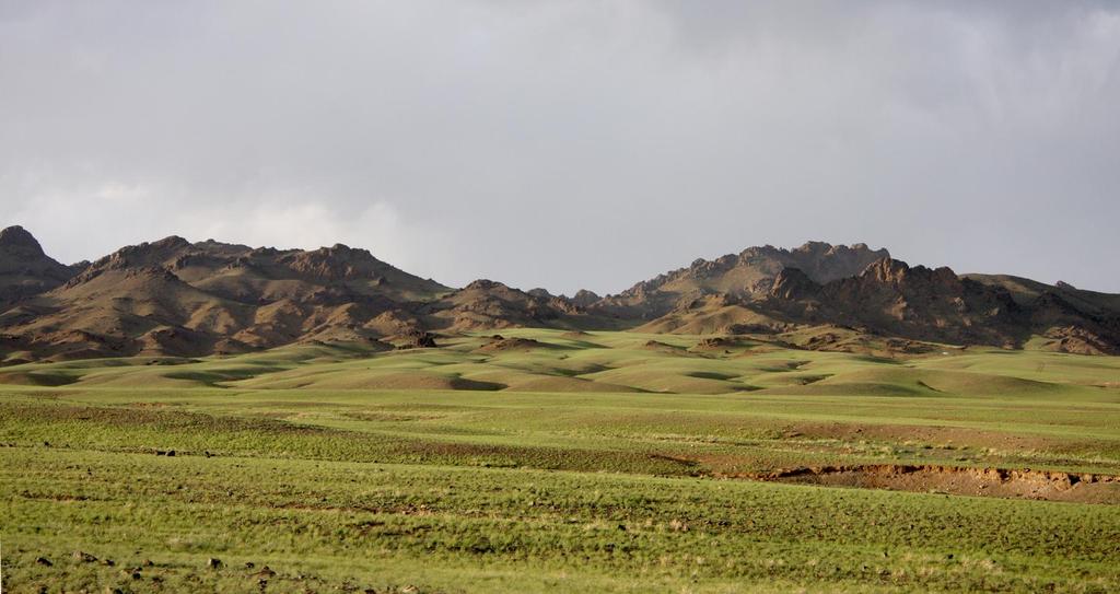 Däremellan breder stäppen ut sig blandat med vackra bergsområden och fågelsjöar. Mongoliet är ett land där en nomadisk livsstil fortfarande är normen.