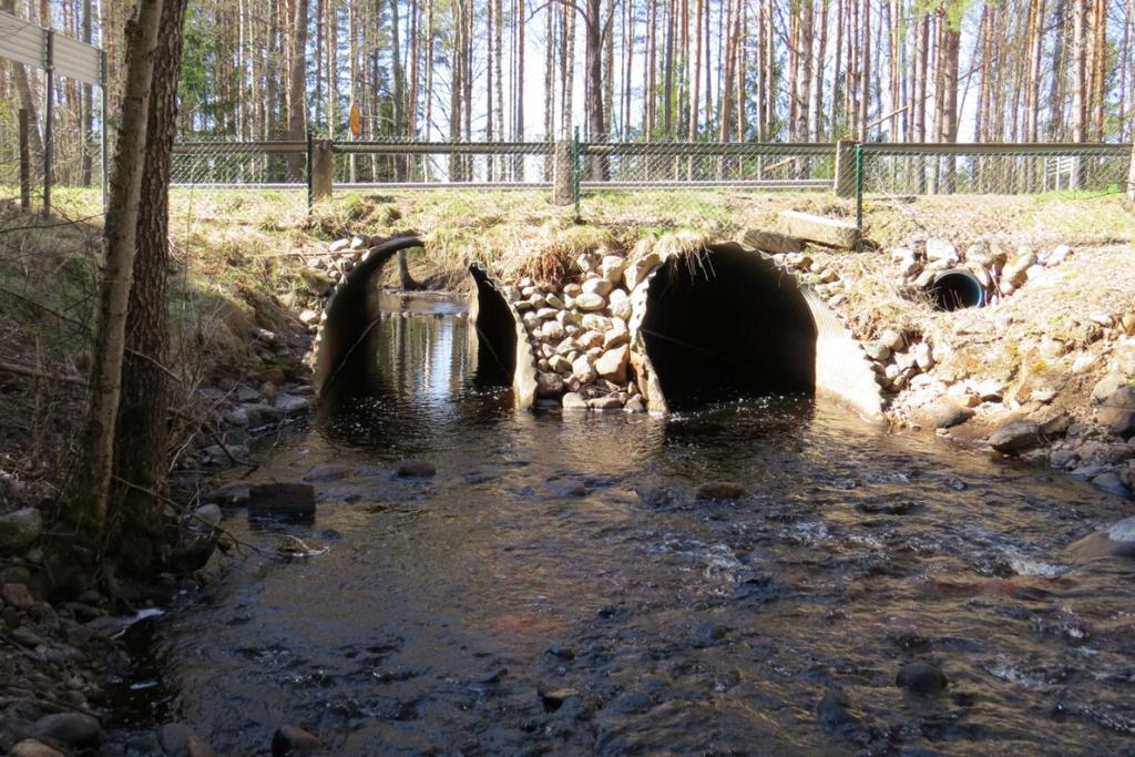 Biologisk återställning Länsstyrelsen arbetar vidare med att få till stånd åtgärder utifrån den regionala planen för biologisk återställning i kalkade vatten.