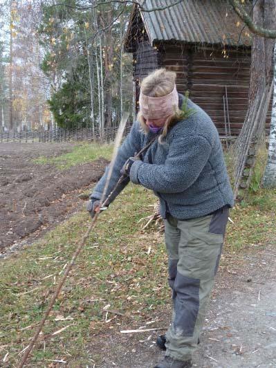 Om de inte är helt färska bör man ånga dem för att kunna klyva. Vidjorna klyvs med kniv, med början i toppen av trädet.