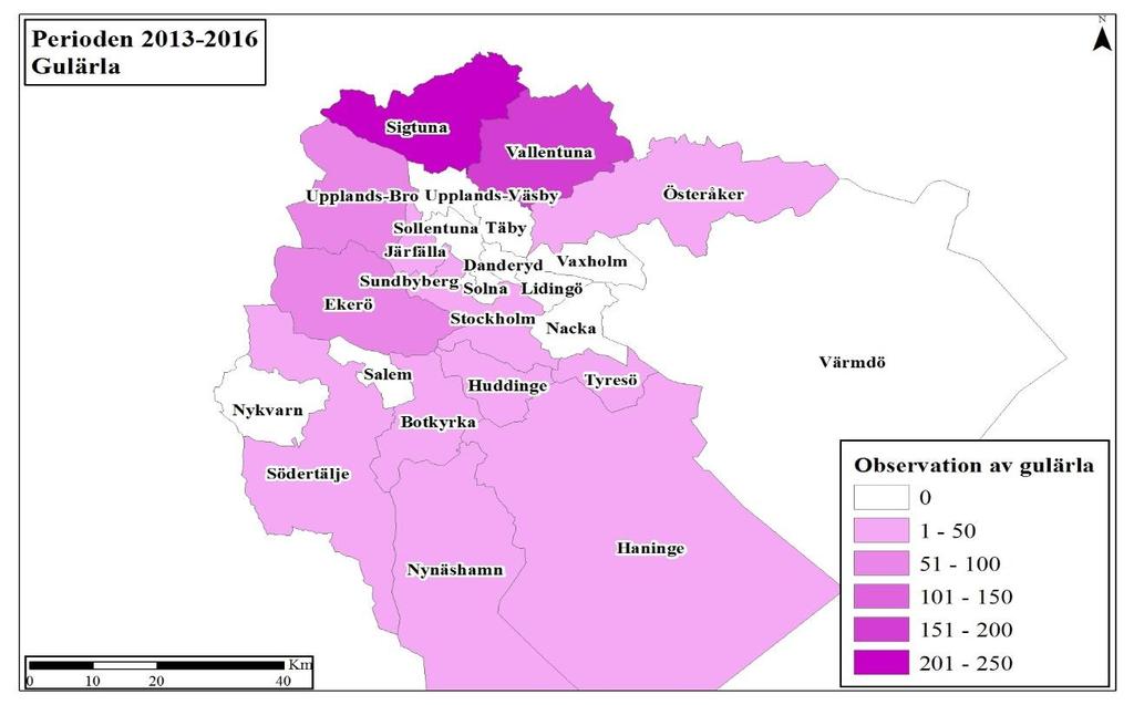 Figur 8 är en tematisk karta över antalet observationer av gulärla för varje kommun i Stockholms rapportområde under perioden 2013-2016.