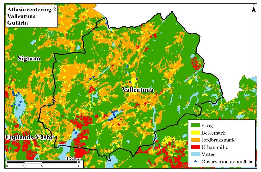 Figur 5 Är en prickkarta som visar den geografiska fördelningen av observationsplatser för gulärla i Stockholms rapportområde under perioden 2013-2016, en observation kan innehålla