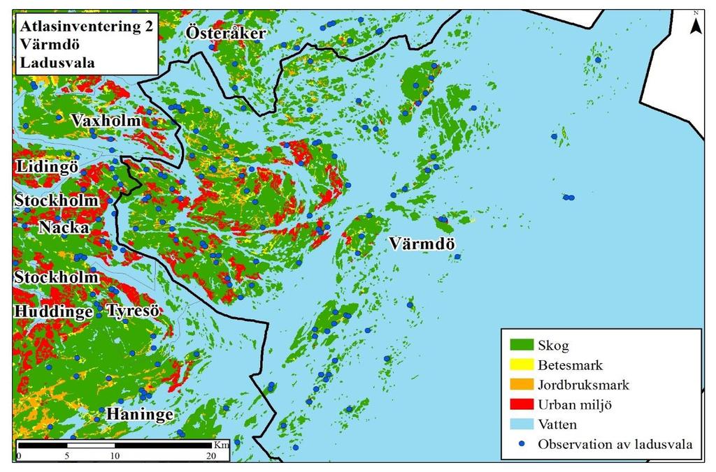 Figur 13 Är en prickkarta som visar den geografiska fördelningen av observationer av ladusvala i Stockholms rapportområde under perioden 2013-2016 en observation kan innehålla flera