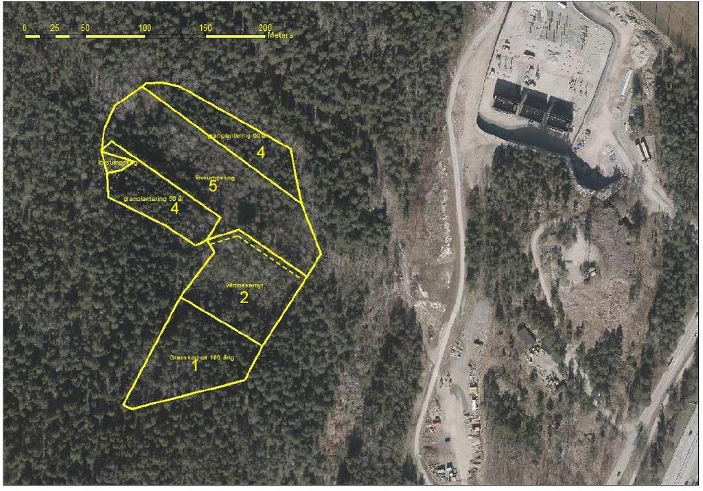 JB och LN föreslår en dämningspunkt vid gränsen mellan vegetationstyp 2, 4 och 5.