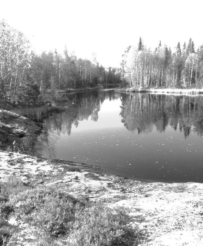 Handlingsprogram Lycksele kommun 2015 2018 Olycksförebyggande och