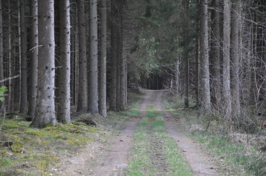 Småkuperade marker med utmärkta drivningsförhållanden. Jakt på bl a hjort och vildsvin.