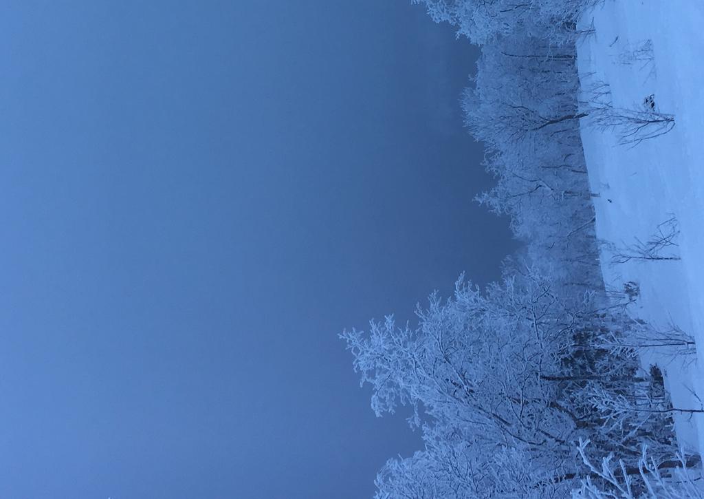 Kittelfjäll februari 2017. Foto: Amanda Truvert.