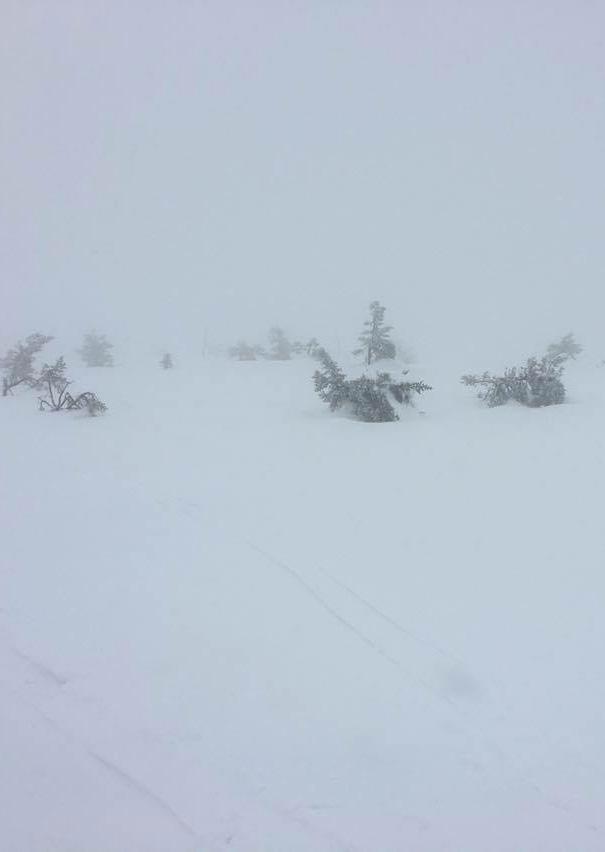 På toppan av Levi, Finland mars 2016. Foto: Amanda Truvert. TACK! Jag vill passa på att tacka alla inblandade som har varit med under arbetets gång.